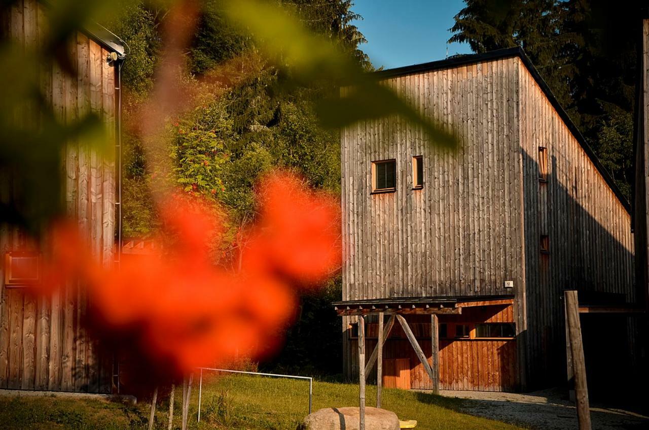 Naturepark Resort Harrachov Esterno foto